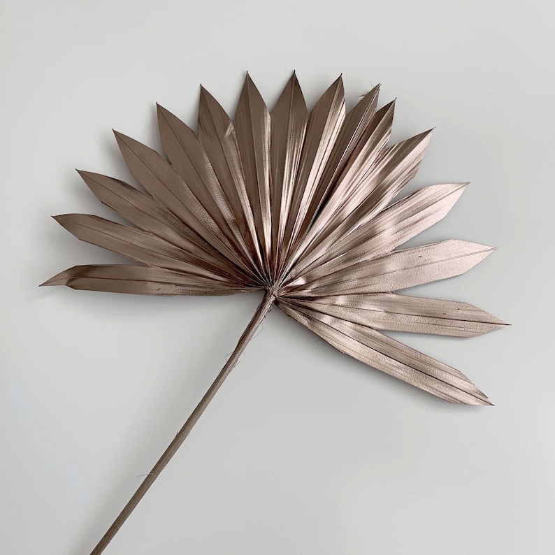 PALM SUN SPEAR-METALLIC COPPER COLOUR